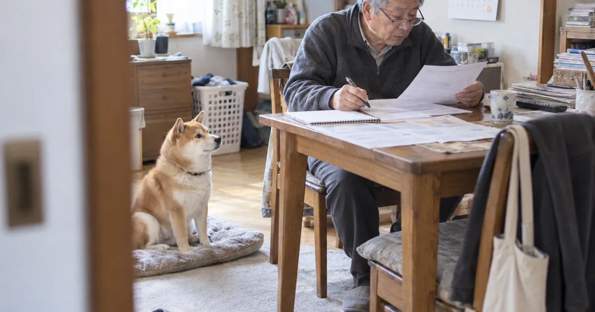 食卓で料金表を見比べる60代の男性と、クッションの上から見上げる柴犬
